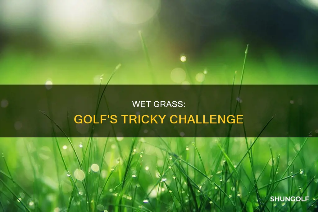 how does wet grass affect golf