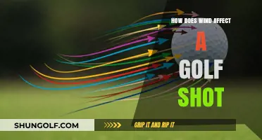 Mastering the Breeze: How Wind Impacts Your Golf Game