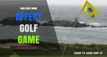Mastering the Breeze: How Wind Impacts Your Golf Game Strategy