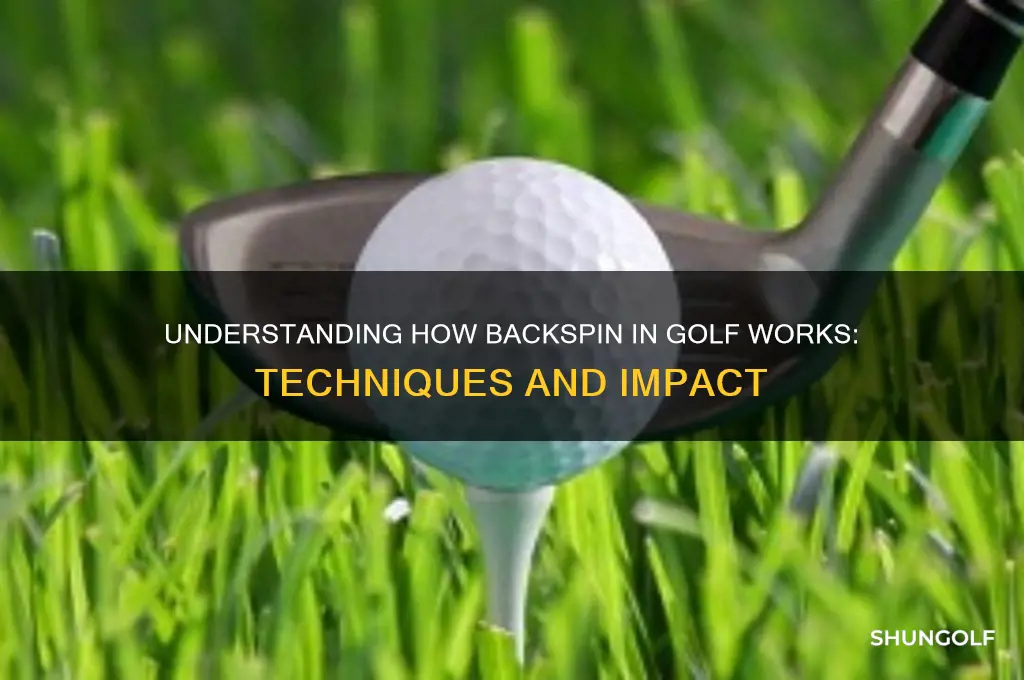 how doesbkatch play golf work