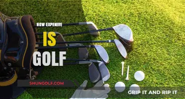 Golf: An Expensive Swing?