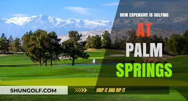 Golfing in Palm Springs: Uncovering the True Cost of Tee Time