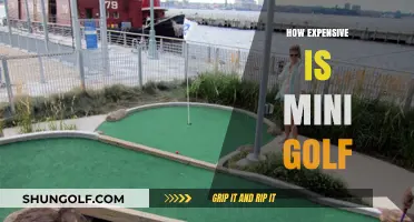 Mini Golf: A Costly Pastime?