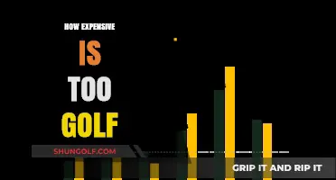Golfing: An Expensive Hobby or a Smart Investment?
