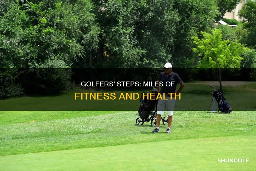 how far do golf players walk