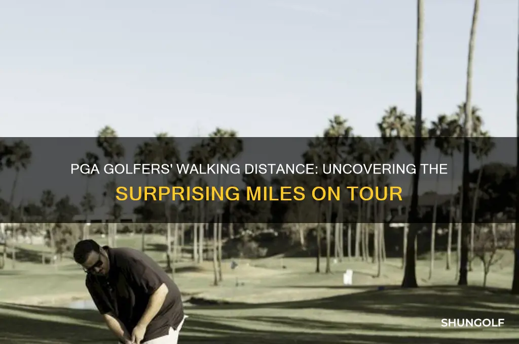 how far does a pga golfer walk