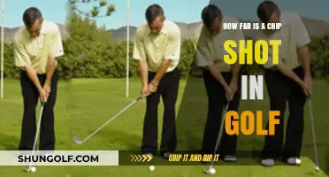 Mastering the Short Game: The Art of the Perfect Chip Shot