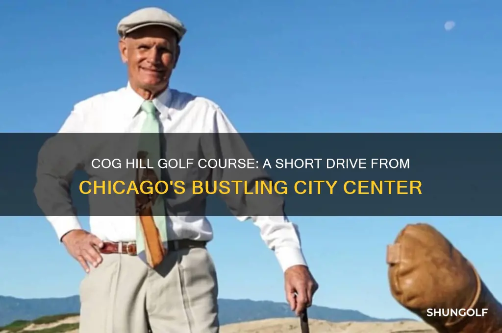 how far is cog hill golf course from chicago illinois