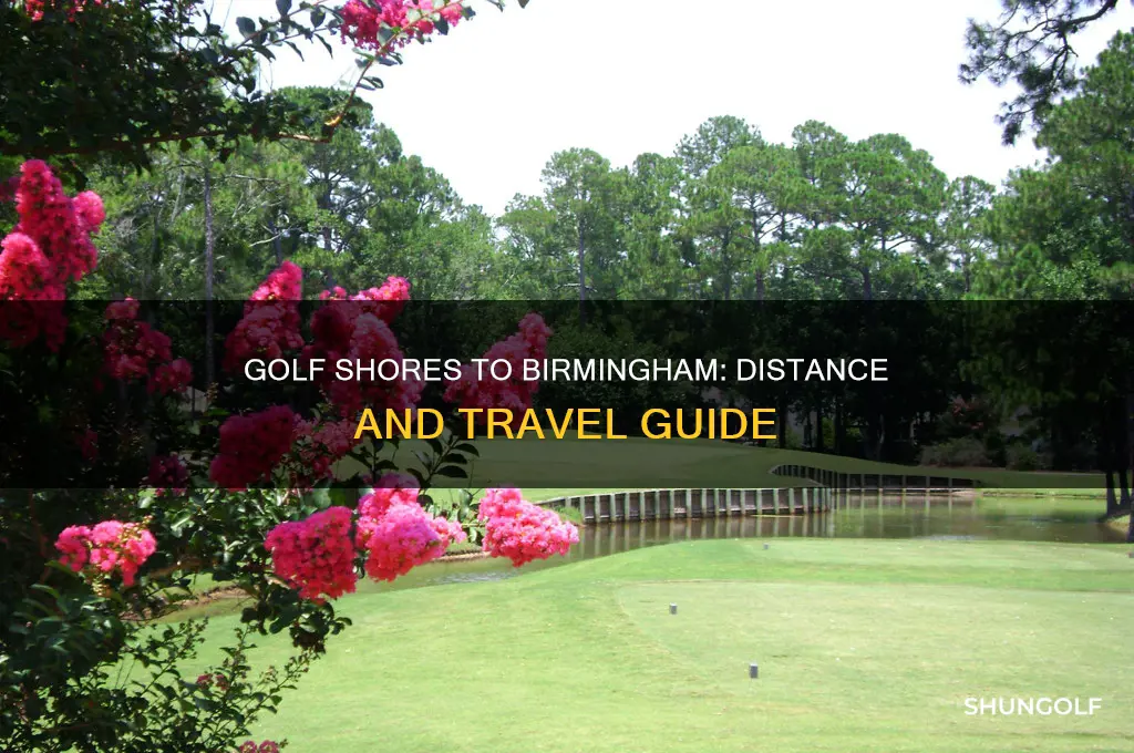 how far is golf shores from birmingham alabama