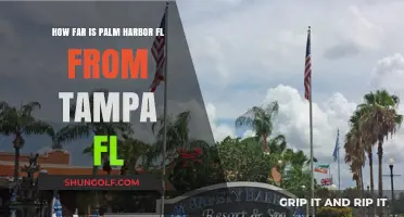 Palm Harbor to Tampa: Distance, Travel Time, and Best Routes