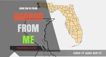 Discover Palm Harbor's Distance: A Quick Travel Guide for You
