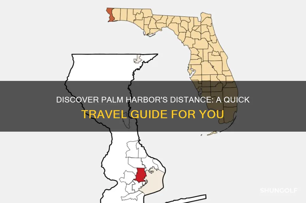 how far is palm harbor from me