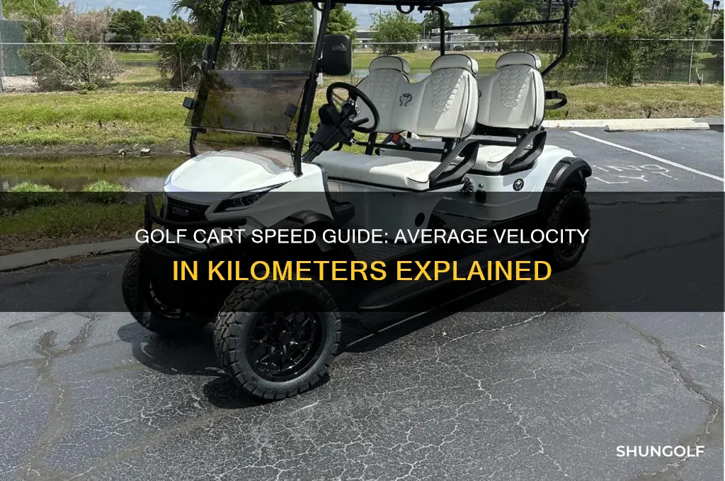 how fast do golf carts go in km