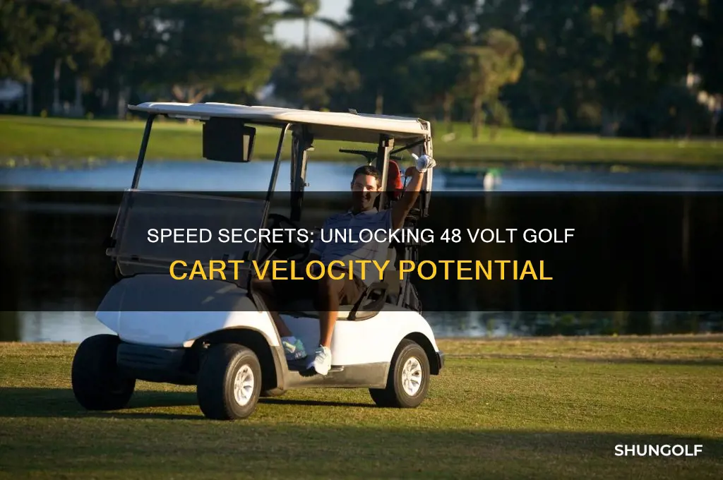 how fast does a 48 volt golf cart go