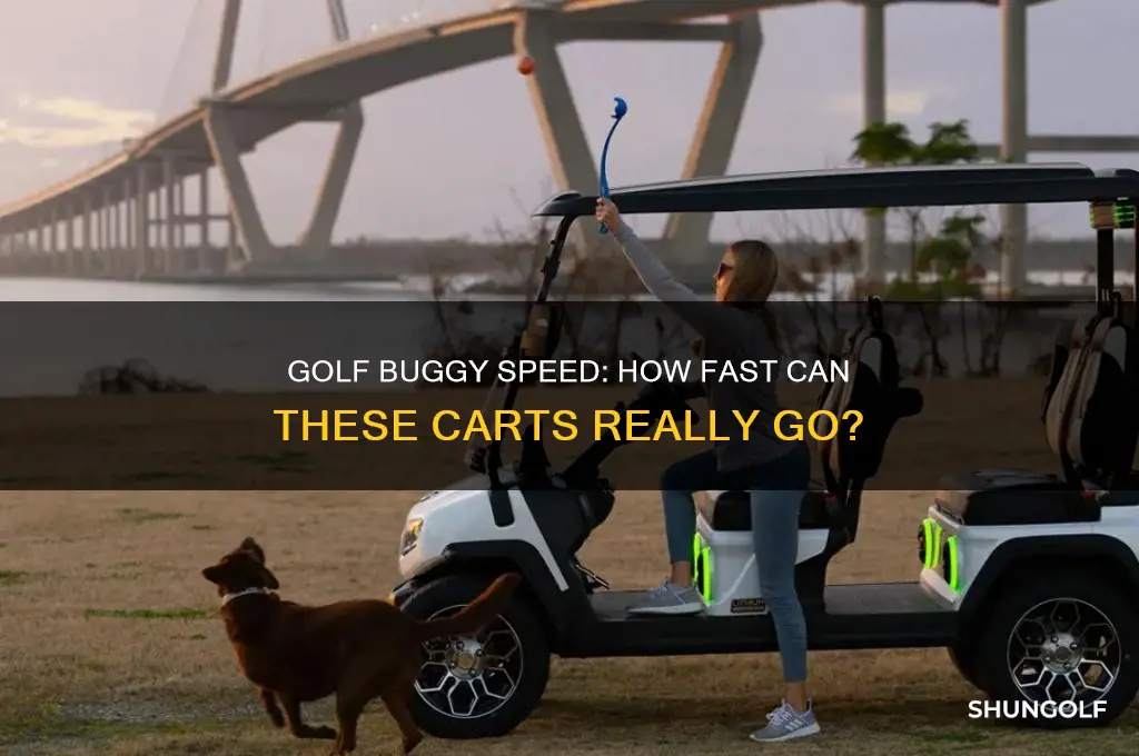 how fast does a golf buggy go