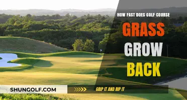 Golf Course Grass Recovery: How Quickly Does It Bounce Back?