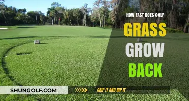 Golf Course Turf Recovery: How Quickly Does Grass Regrow After Damage?