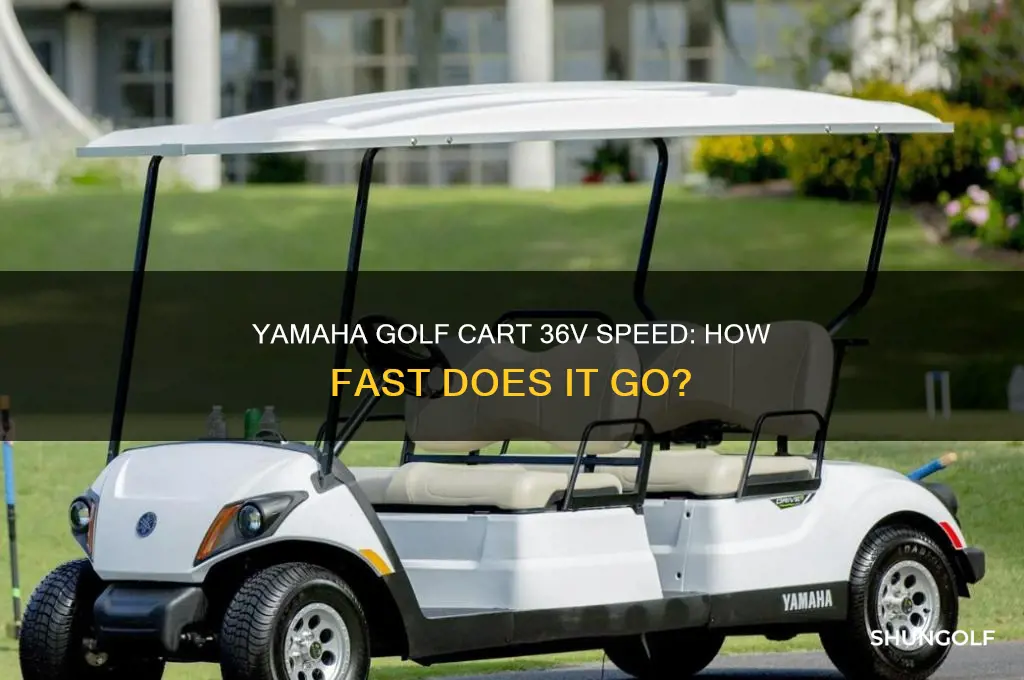 how fast is a 2000 yamaha golf cart 36v