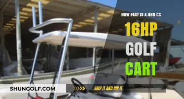 Speedy 480cc Golf Cart: Unlocking 16HP Performance and Speed