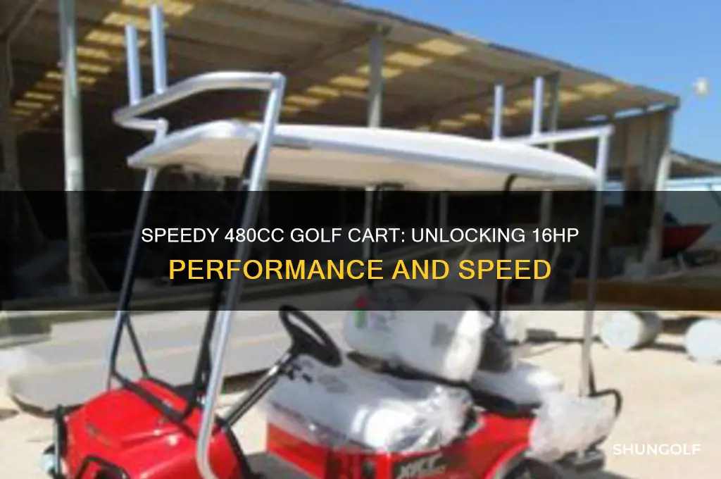 how fast is a 480 cc 16hp golf cart