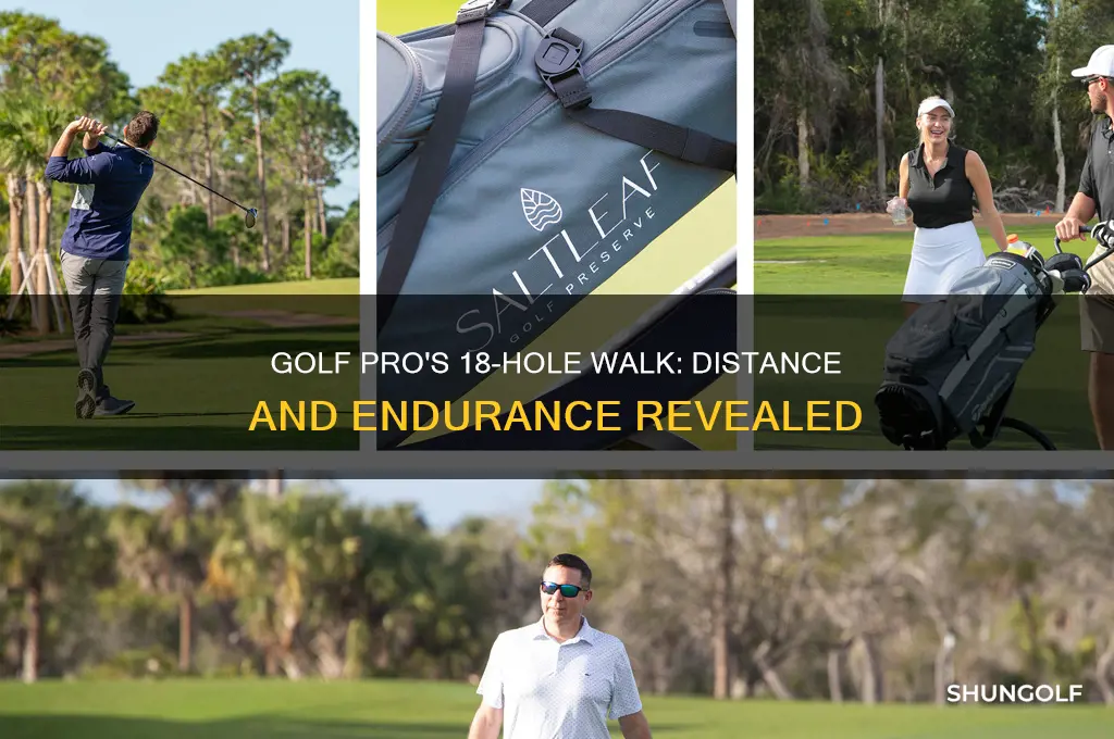 how fsr does a golf pro wslk during a 18