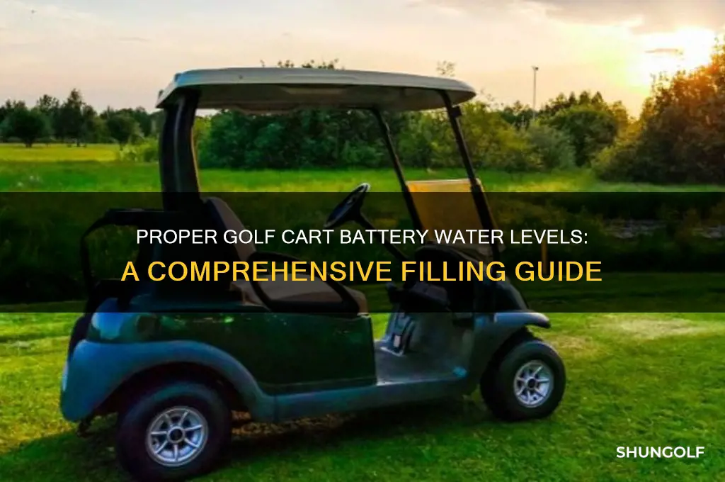 how full do you fill golf cart batteries with water
