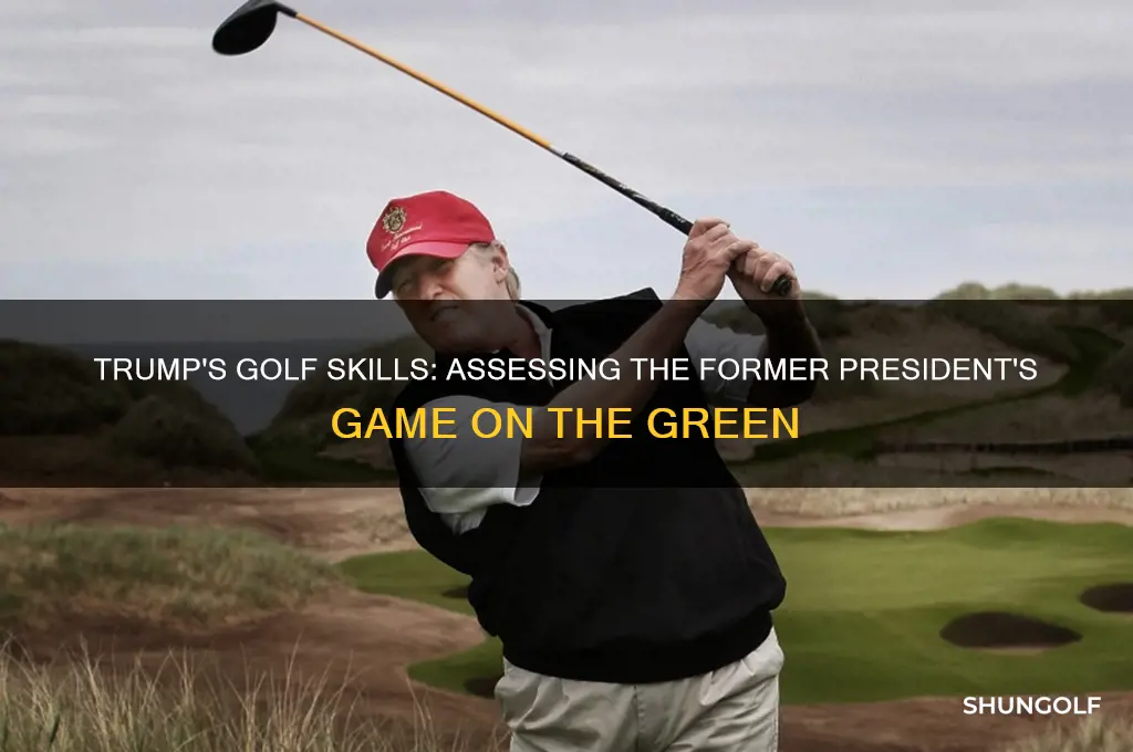 how ggod of golfer is pres trumpf