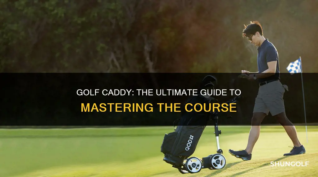 how golf caddy