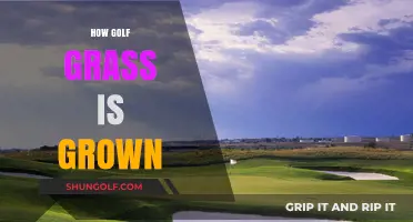 Golf Grass Growth: Secrets to a Perfect Green