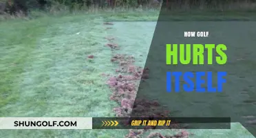 Golf's Self-Inflicted Wounds: A Harmful Game