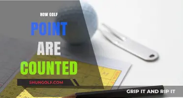 Understanding Golf Scoring: Counting Points and Strokes