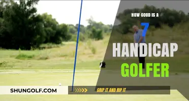 Mastering the Fairways: Assessing the Skills of a 7 Handicap Golfer