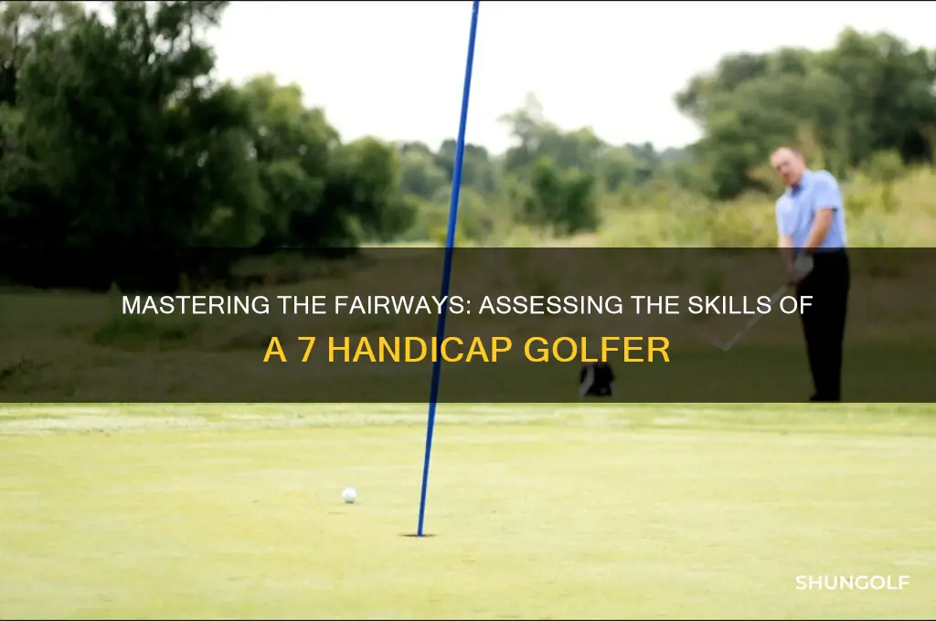 how good is a 7 handicap golfer