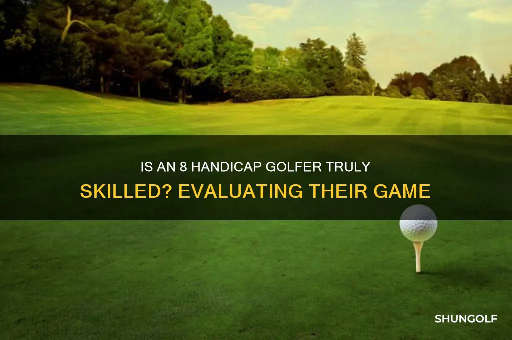 how good is an 8 handicap golfer