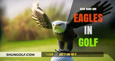 Golf Eagles: Difficult, but Achievable