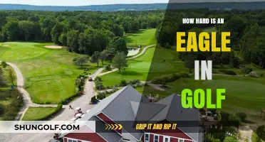 Mastering the Eagle: Unlocking Golf's Most Challenging Scoring Feat