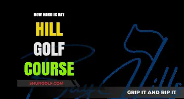 Conquering Bay Hill: Unveiling the Challenge of This Iconic Golf Course
