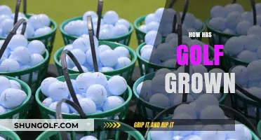 Golf's Evolution: A Sport's Growth and Global Appeal