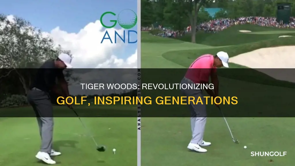 how has tiger woods change golf