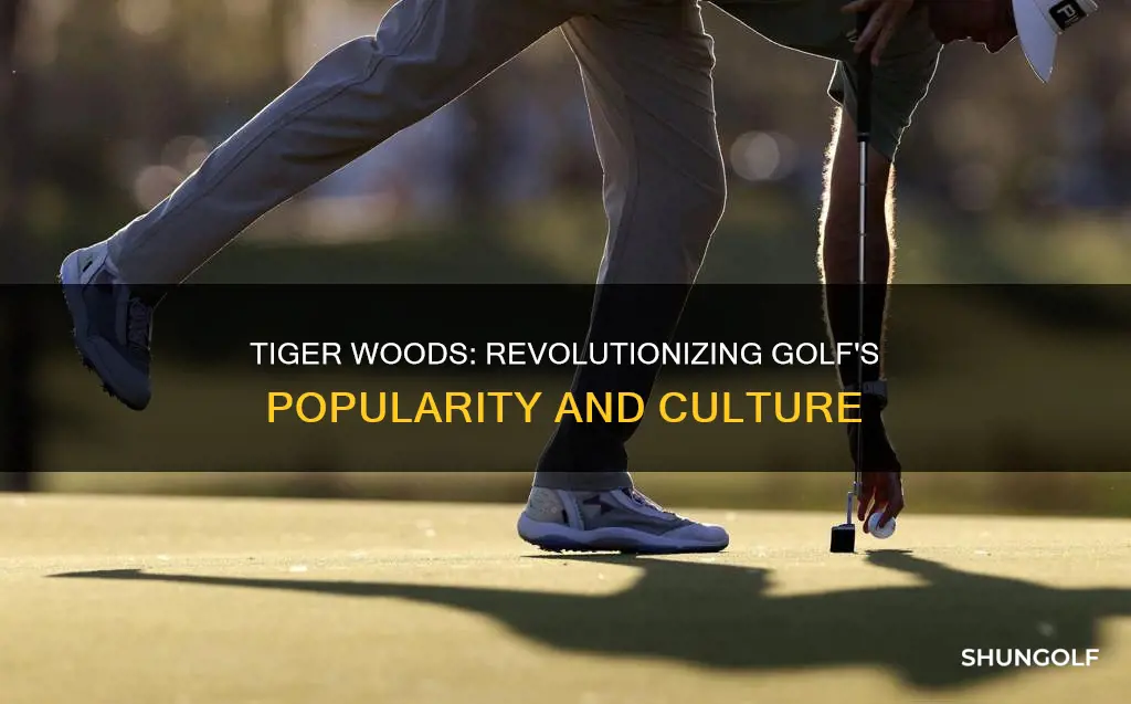 how has tiger woods impact golf