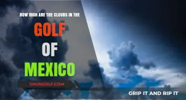 Exploring the Heights of Clouds Over the Gulf of Mexico