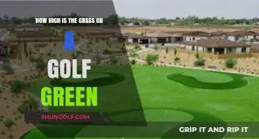 Perfect Putt: Understanding the Ideal Grass Height on Golf Greens