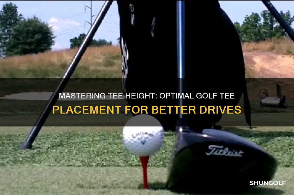 how high should a golf tee be