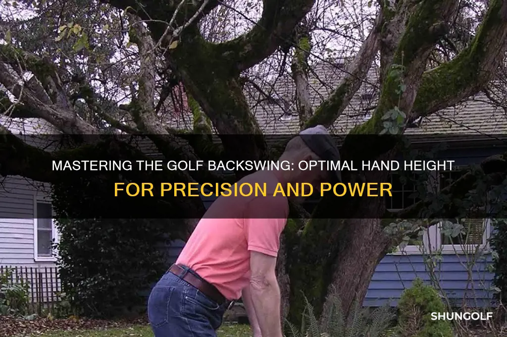 how high should hands be on golf backswing