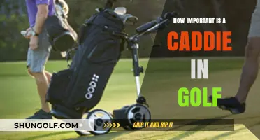 The Caddie's Impact: Unlocking Golf Performance and Strategy