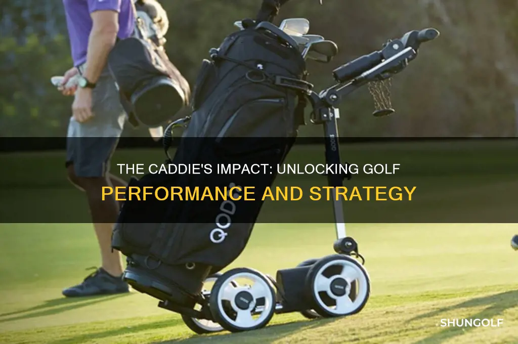 how important is a caddie in golf