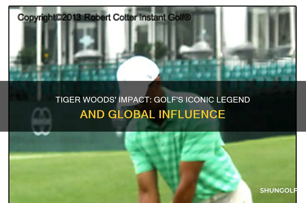 how important is tiger woods to golf