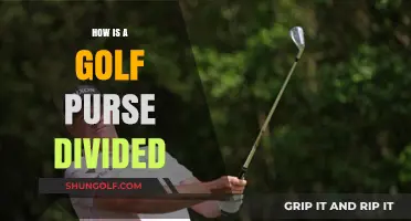Golf Purses: Understanding Payout Structures and Percentages