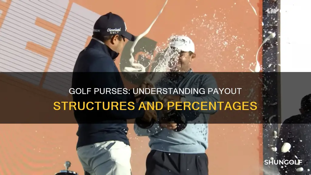 how is a golf purse divided