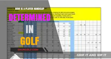 Understanding Golf Handicap Calculation: A Comprehensive Guide for Players